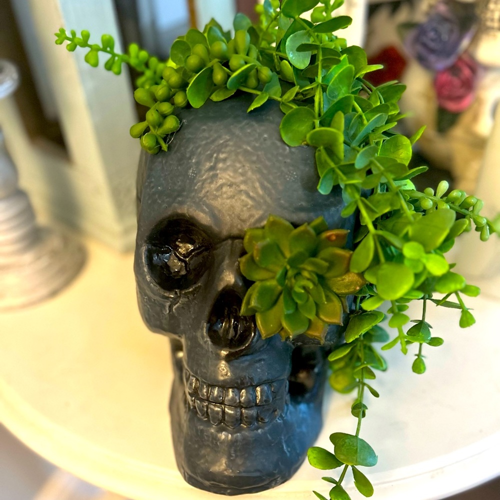 Large Skull with Succulents NWT